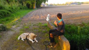 Tijd voor verandering: geen training van honden meer, maar fijne relaties met honden!
