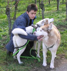 Maaike en Tjakkar en Aïsha: geen gehoorzaamheid zoals op de hondenschool, maar fijne onderlinge relaties